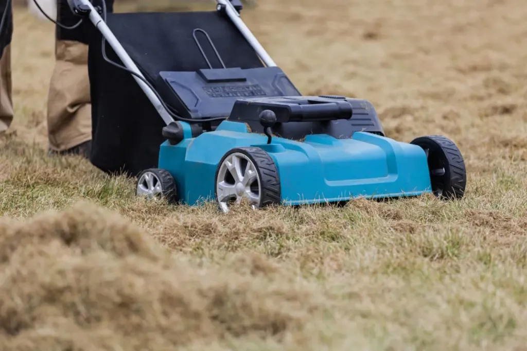 W jakim celu używa się aerator lub wertykulator?