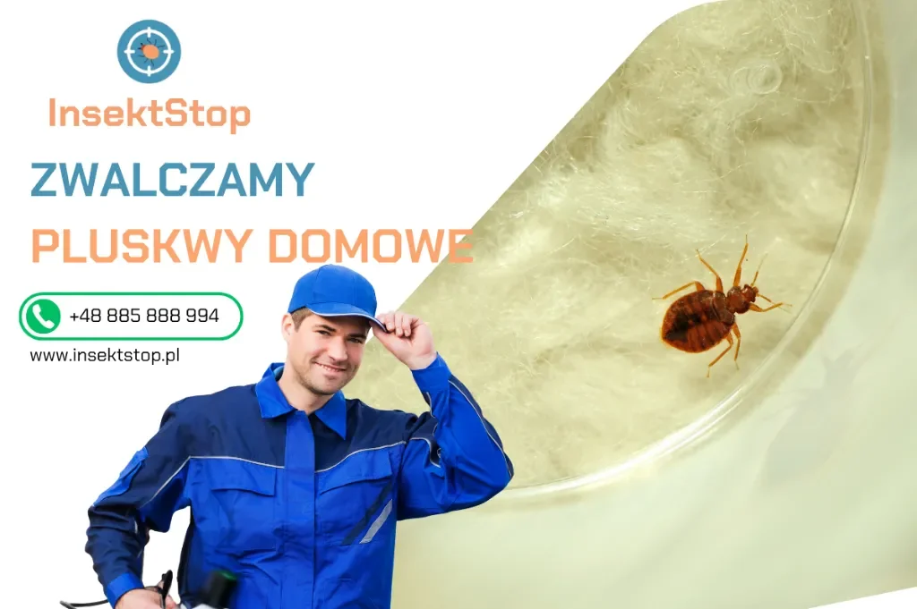 dezynsekcja w warszawie