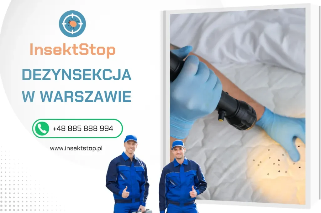 zwalczamy pluskwy domowe